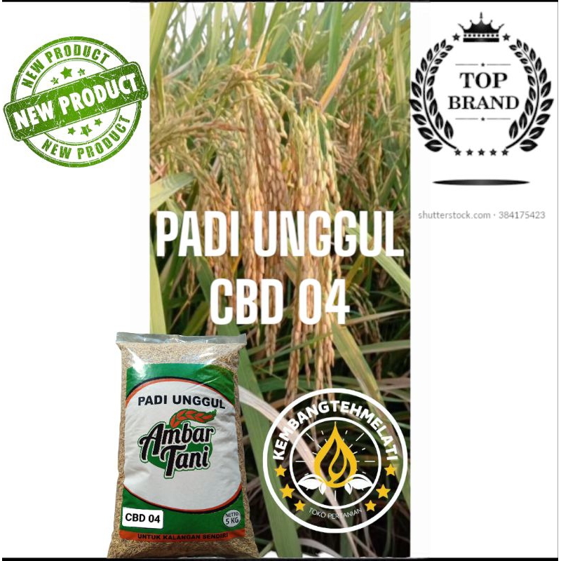 BIBIT PADI BENIH PADI UNGGUL CBD 04 KEMASAN 5KG