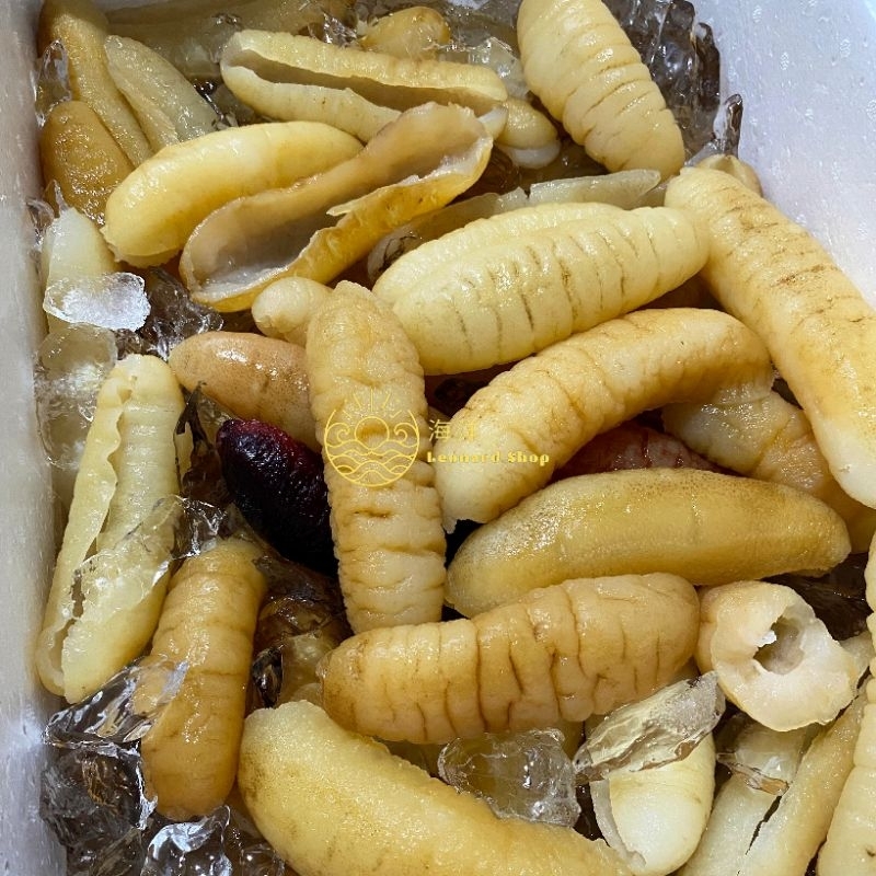 

(khusus nextday) HAISOM FRESH SIAP MASAK ASLI BANGKA BELITUNG KUALITAS SUPER KENYAL DAN TEBAL COCOK UNTUK RESTORAN BAHAN MASAKAN TUMIS HOISOM / TERIPANG GOSOK / GAMAT SEBAGAI OBAT LUKA DALAM LUAR DAN MENAMBAH STAMINA BASAH FROZEN FOOD BASO SEAFOOD IKAN