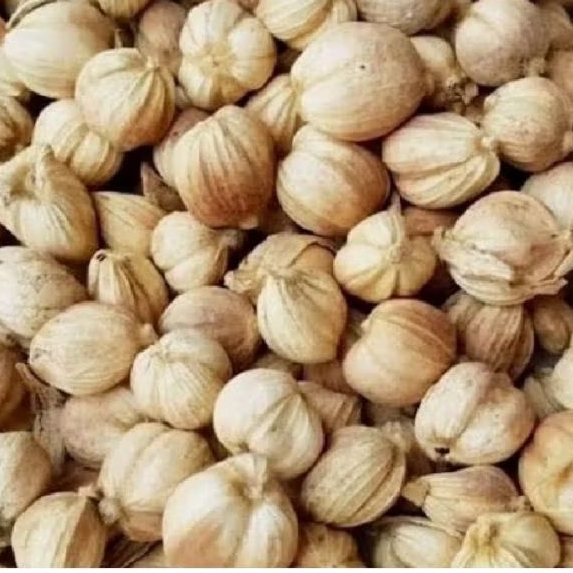 

kapulaga kering tradisional pengharum alami 500grm