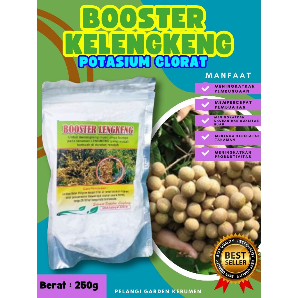 PROMO  Booster Buah Kelengkeng Merah, Booster Buah Kelengkeng Matalada Berbuah, Booster Buah Kelengk