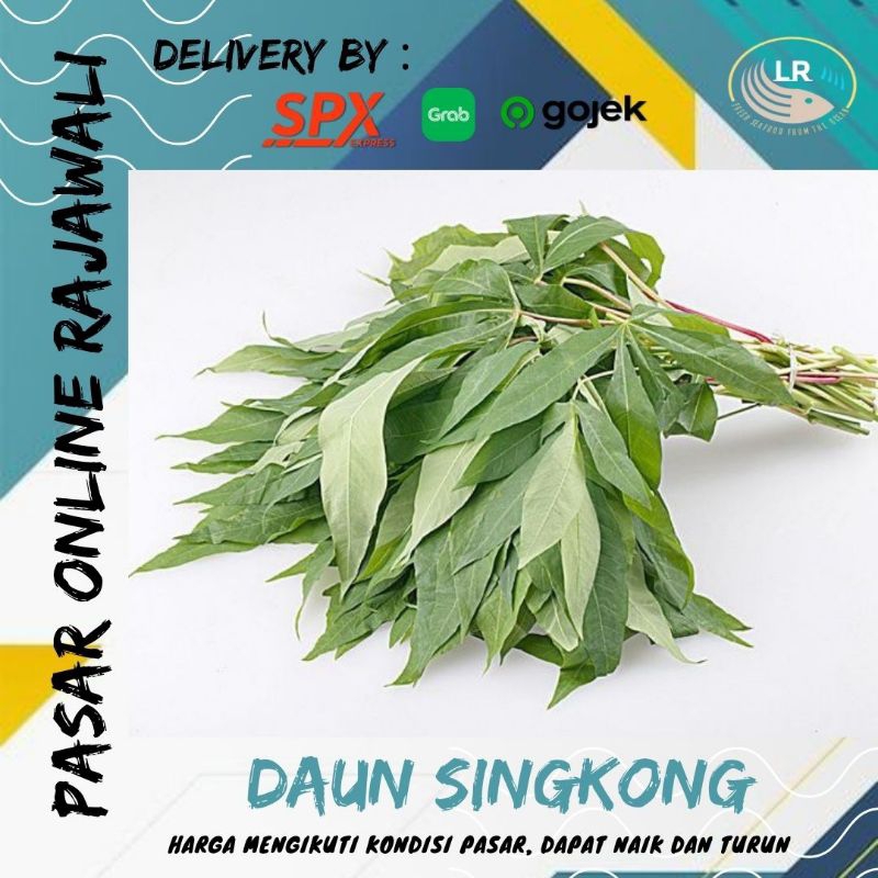 

Daun singkong