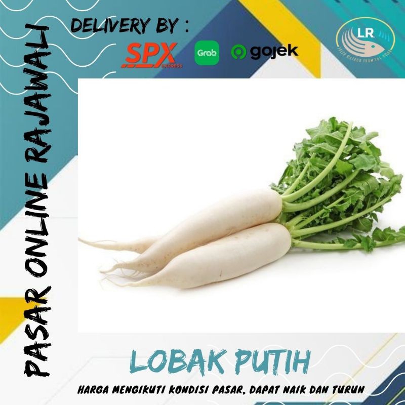 

Lobak putih