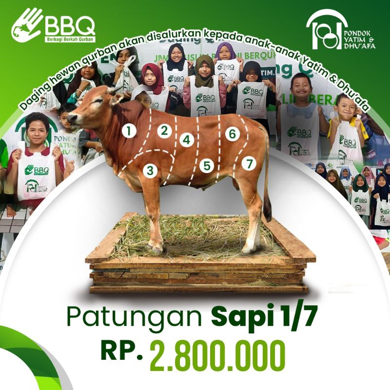 

Qurban Patungan Sapi 1/7 Pondok Yatim & Dhu'afa