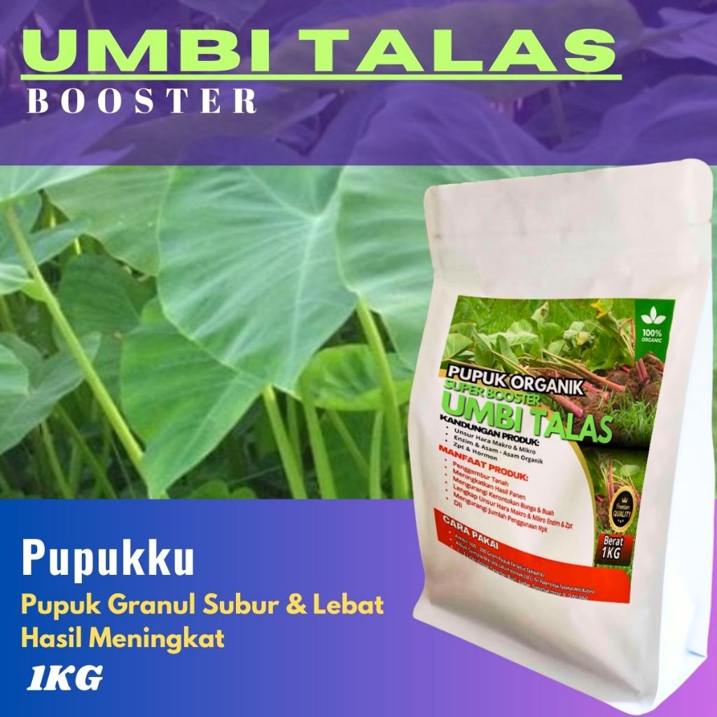 Pupuk Umbi Talas Pembesar Umbi Booster bentul Umbi Talas Cepat Berbuah Besar Dan Lebat