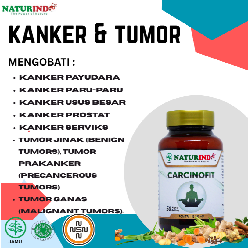 Obat Kanker Payudara Kanker Rahim Kanker Serviks