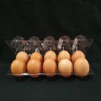 

10 butir telur ayam negeri-telor ayam packing aman pakai mika terkunci