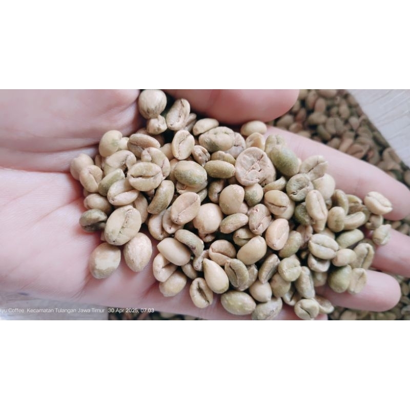 

Green Bean EXCELSA/KOPI NANGKA 1 KG