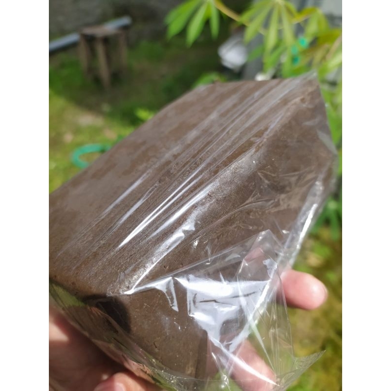 

Terasi Rebon Laut Super Netto 1 Kg Khas Pati Jateng