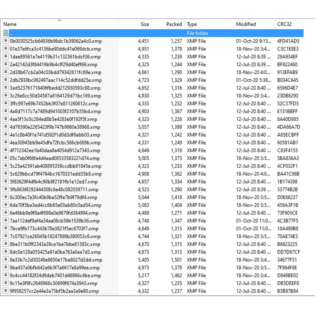PRESET WEDDING.PREWEDD.HUNTING.MODEL LR/PHOTOSHOP NEWEST