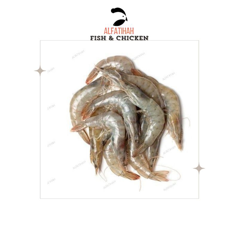 

Udang Vanammi Uk Besar size 60