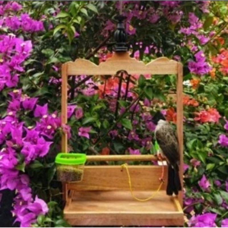 Kandang/Sangkar Layang Burung Kutilang Trucukan Dll Bisa Kirim Keseluruh Indonesia