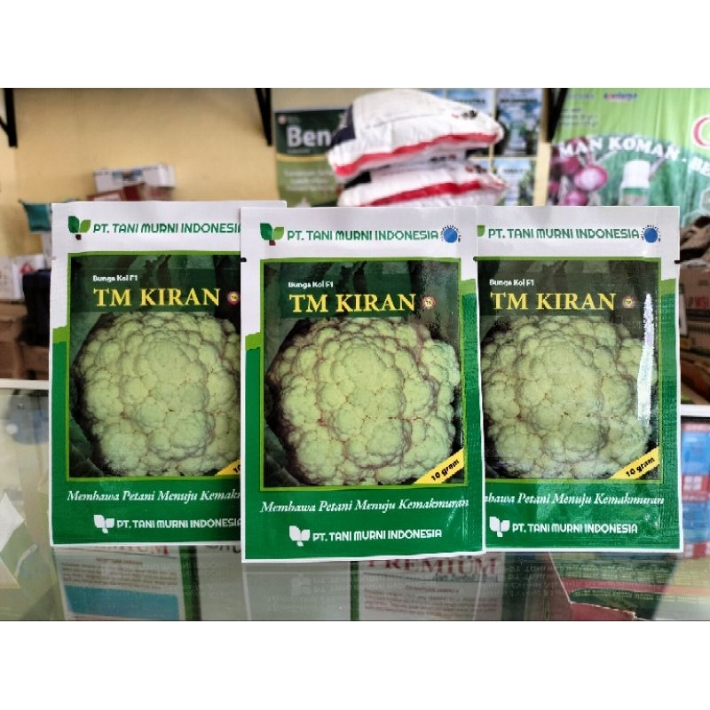 benih bunga kol / bungkul TM KIRAN 10 gram