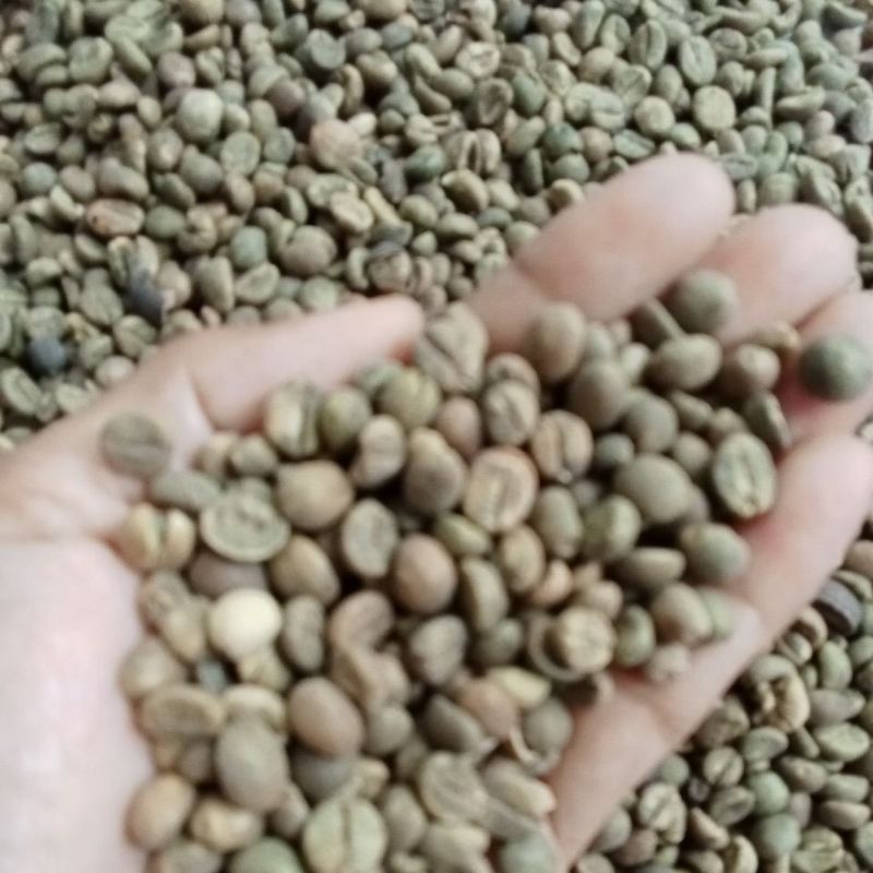 

0.5Kg Biji Kopi Kampung (kopi jowo) (Robusta lancur)Jepara
