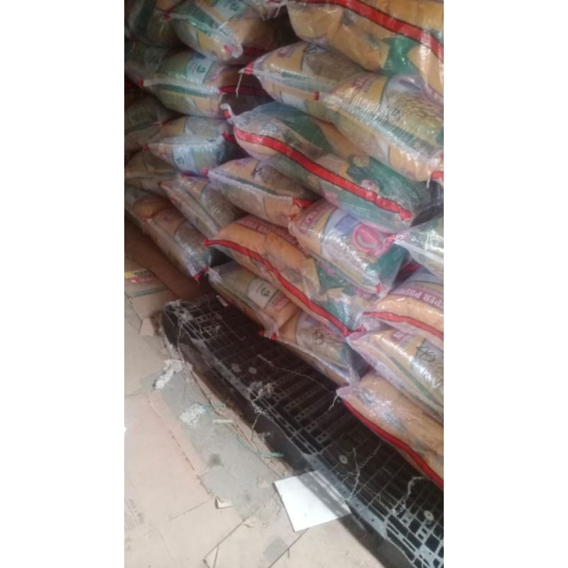 Benih Padi 5kg KUJANG MAS