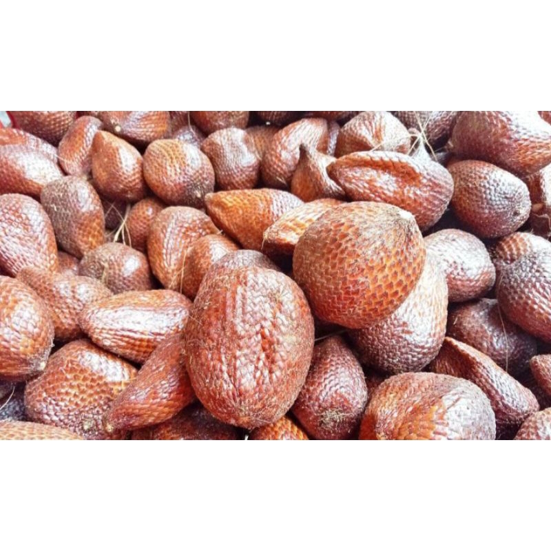 

salak 1 kilo