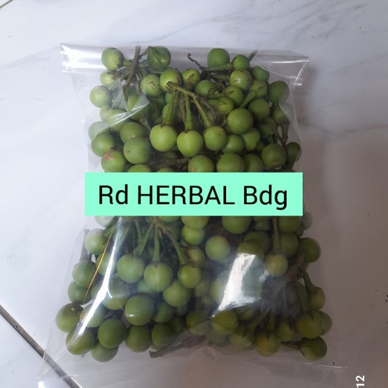 

Buah Tekokak Buah Cepokak 300Gram Segar