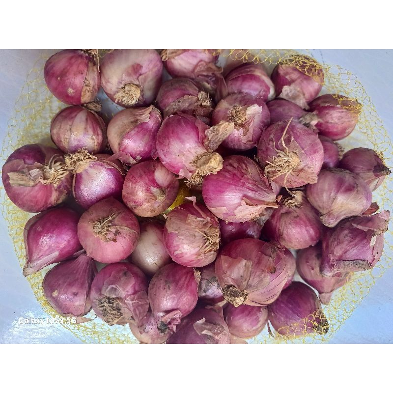 

BAMER Bawang Merah 1 kg Besar dan Kering Asli Lokal Garut