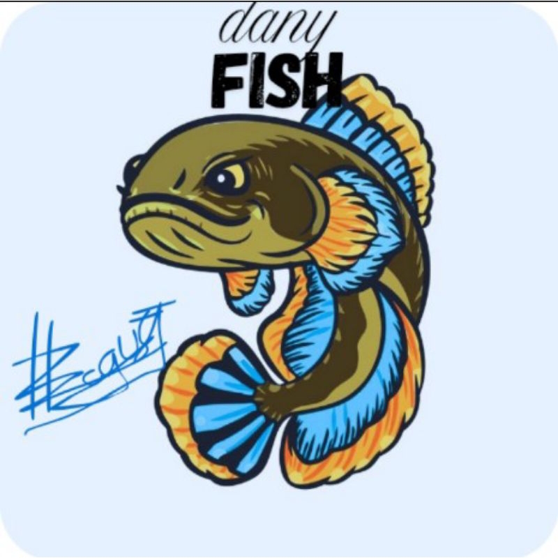 setiker cana limbata