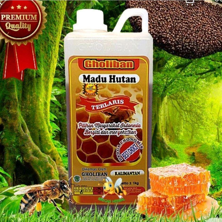 Gholiban - Madu Gholiban - Madu Hutan Kalimantan
