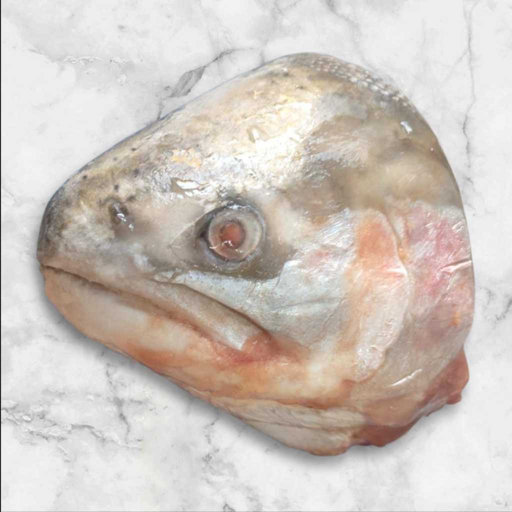 

Salmon Fish Head Imported Norway ( 1 pcs ) - Kepala Ikan Salmon Utuh