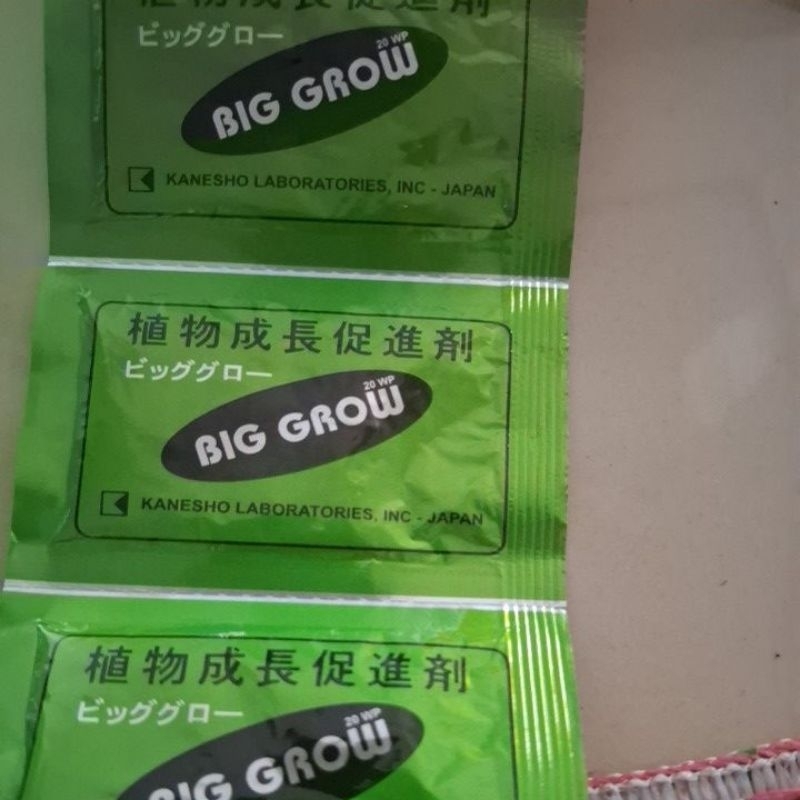 ZPT - Big Grow 5 gram -GA3