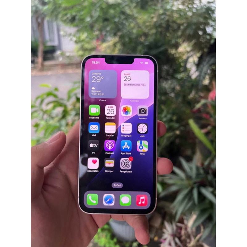 iphone 13 biasa warna pink