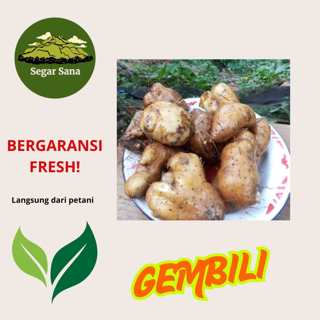 

GEMBILI BEBEK/KETAN PREMIUM MANIS DAN PULEN (1kg)