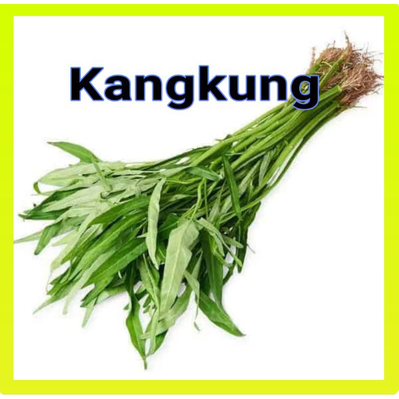

Kangkung