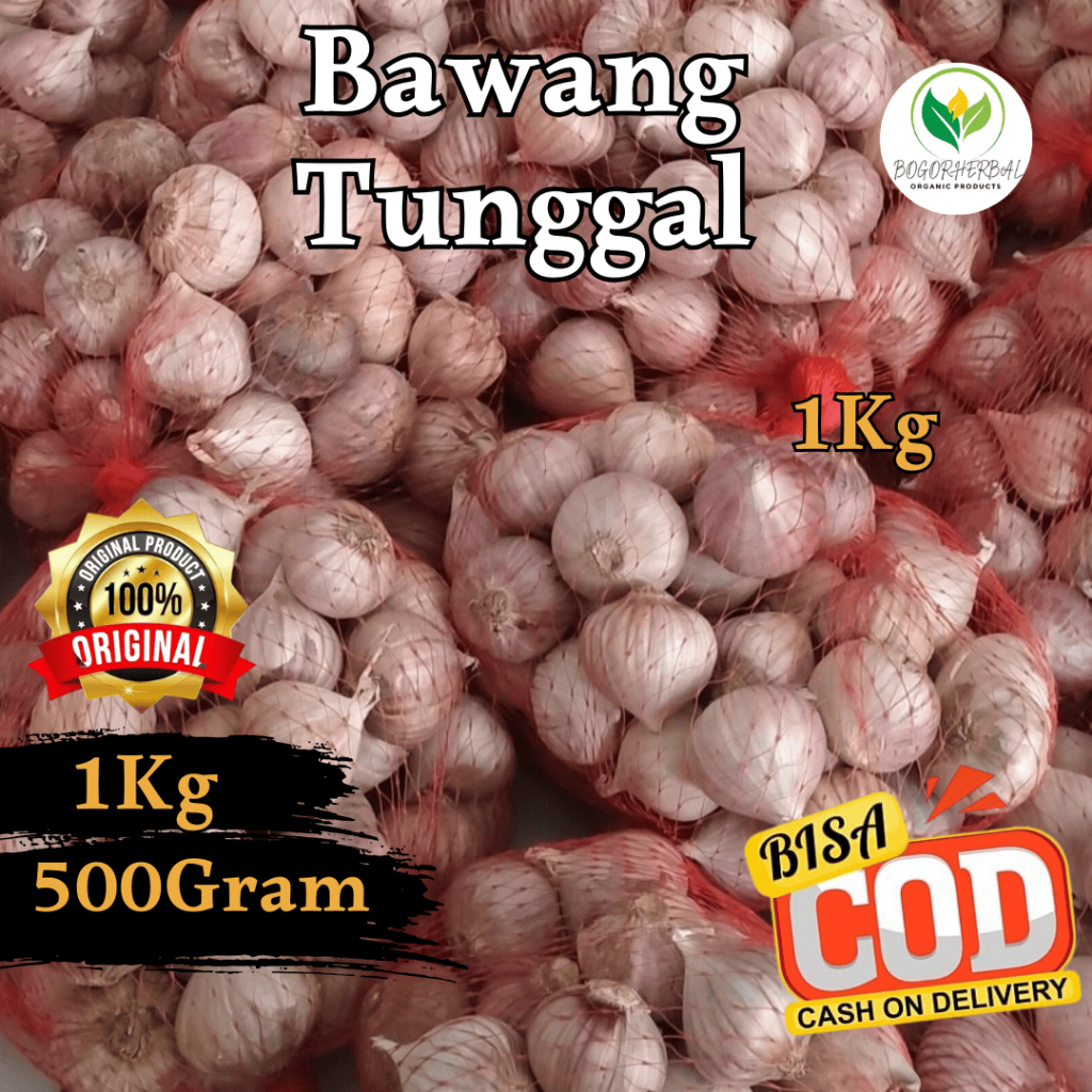 

COD Bawang Putih Tunggal 1 Kg BESAR / KECIL SUPER - Bawang Lanang - Bawang Putih Lanang Bawang Lanang Premium
