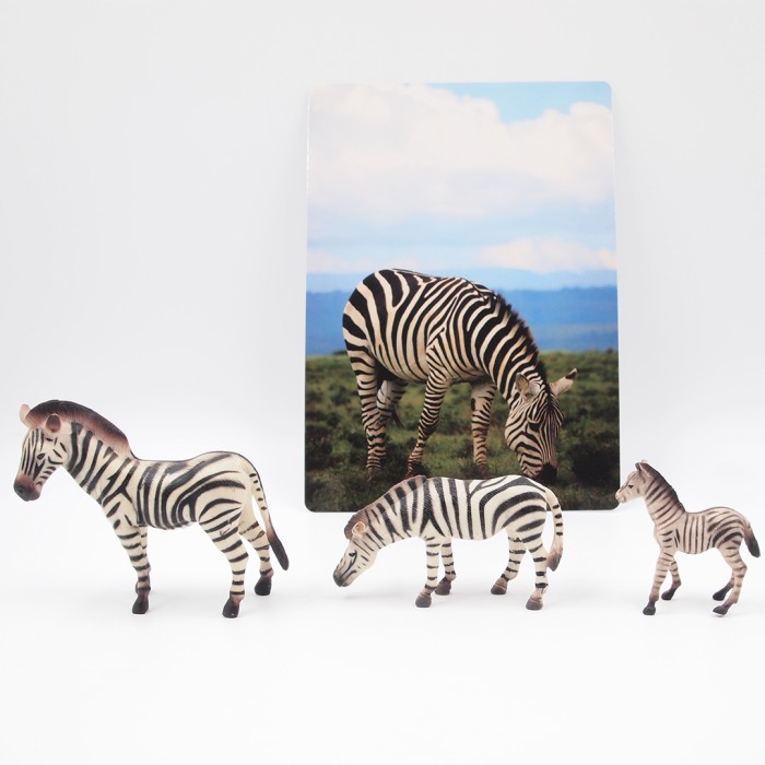 Animal Family / Zoo Animals / Figure Hewan