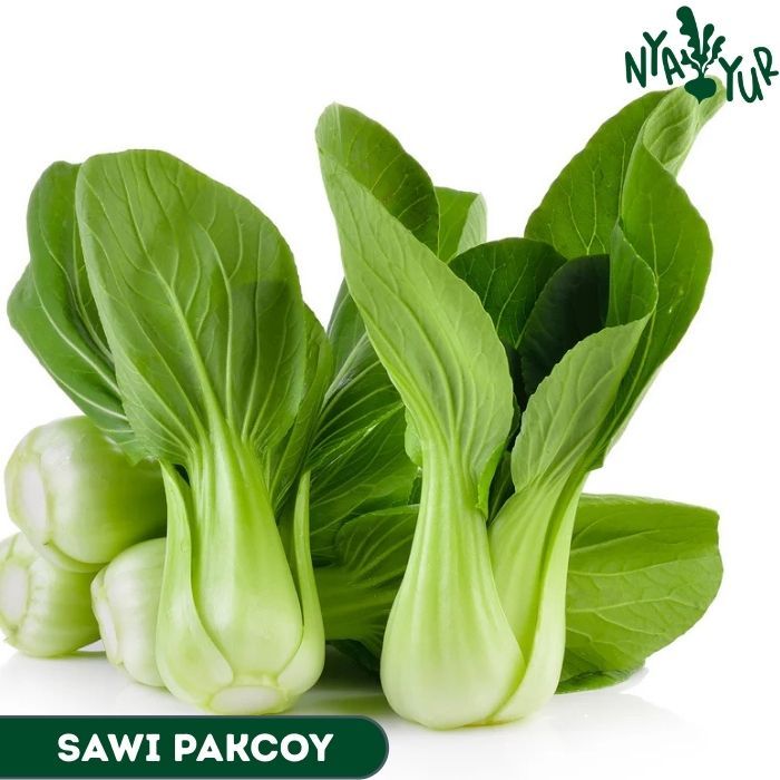 

INSTAN - Sawi Pakcoy 250gr