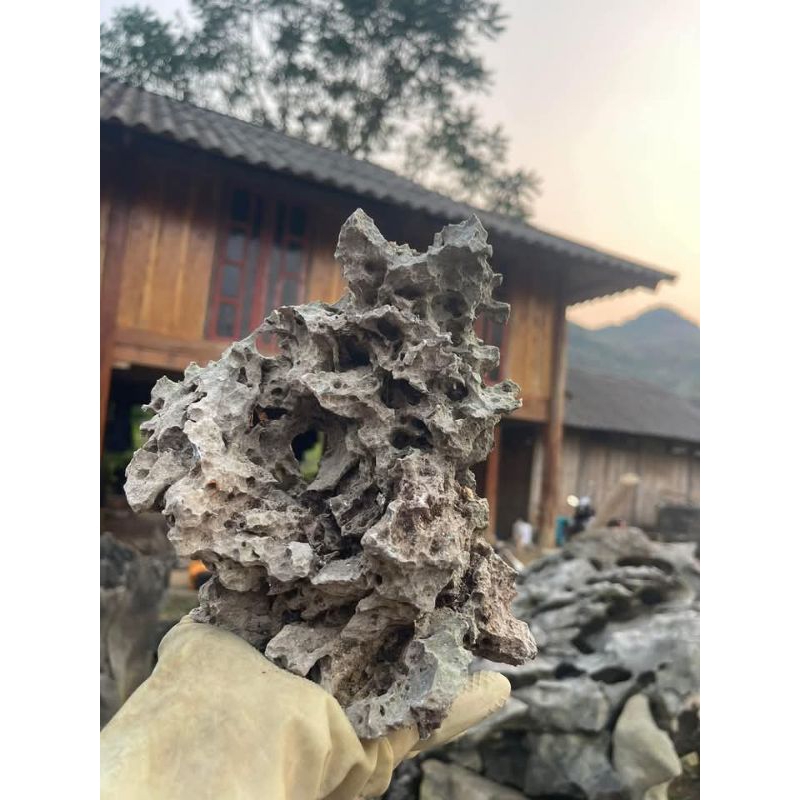 batu karang gunung & laut