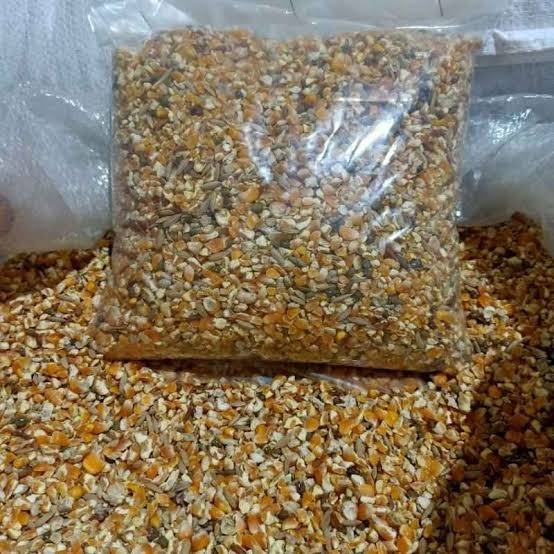 Pakan burung Puter Perkutut Tekukur 1 kg