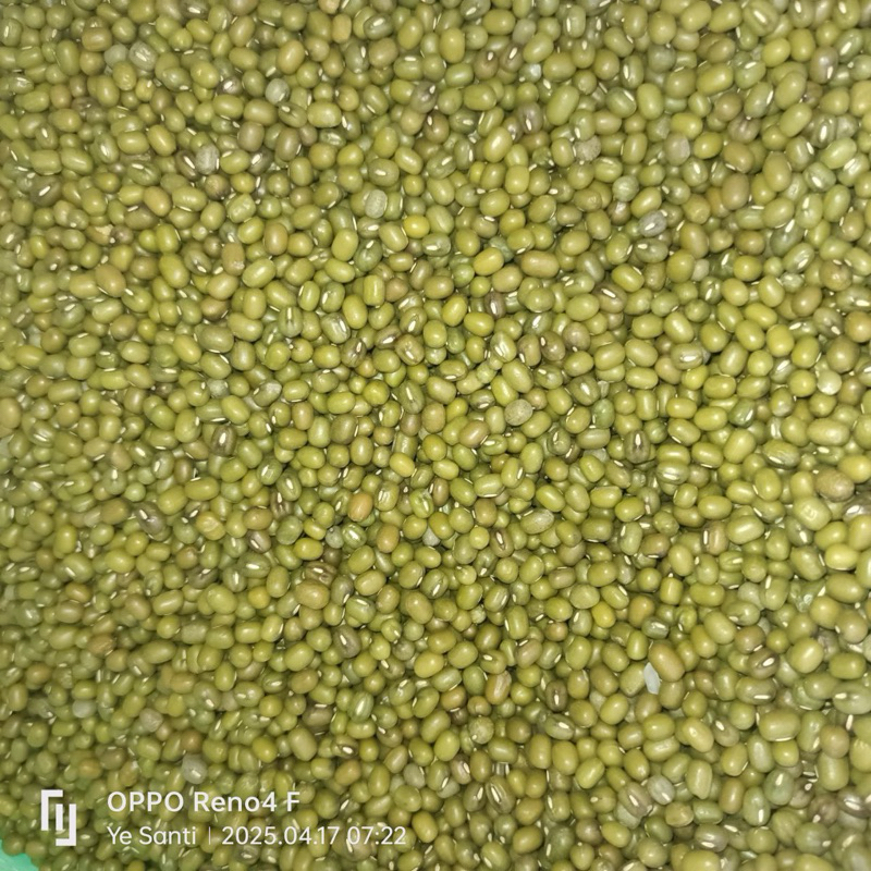 

Kacang Hijau Premium 250gr