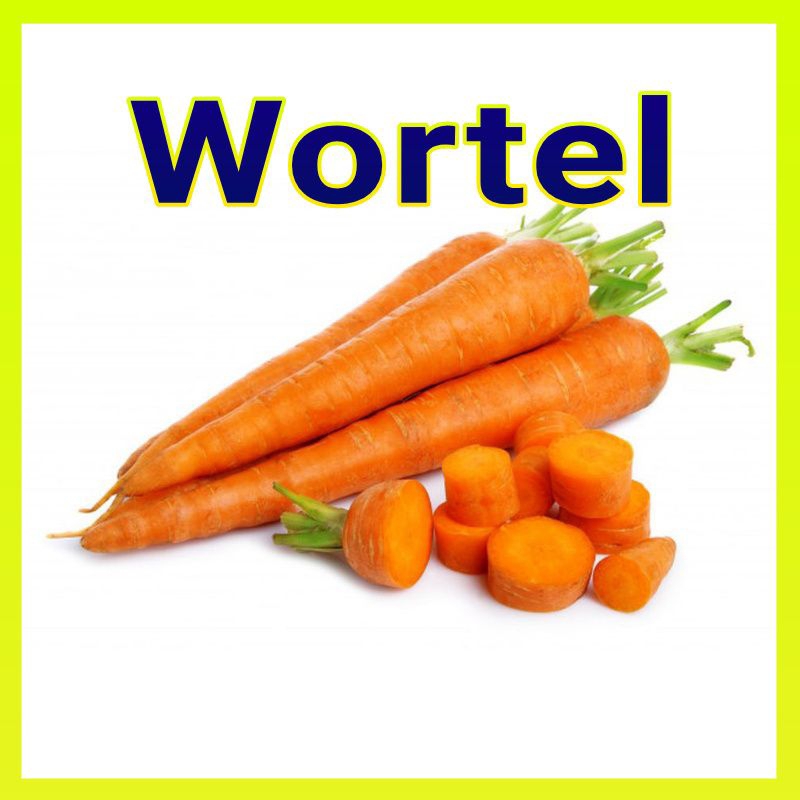 

Wortel