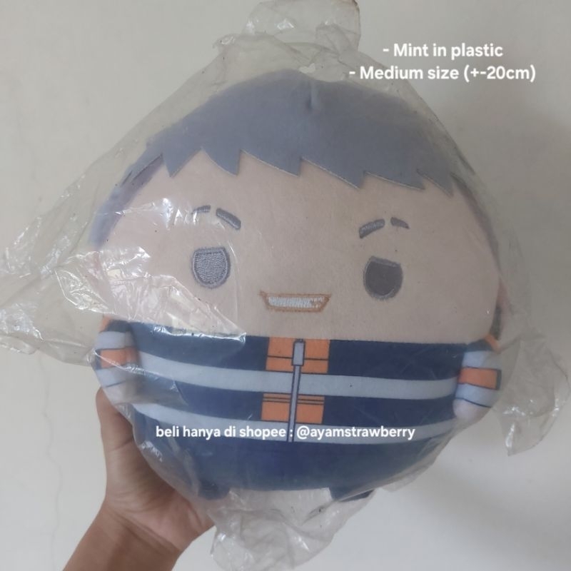 READY BONEKA FUWAKORORIN TOKYO REVENGERS MITSUYA M SIZE