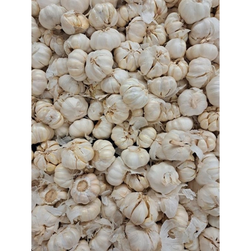 

Bawang putih kulit- Bumbu dapur segar- Aroma kuat