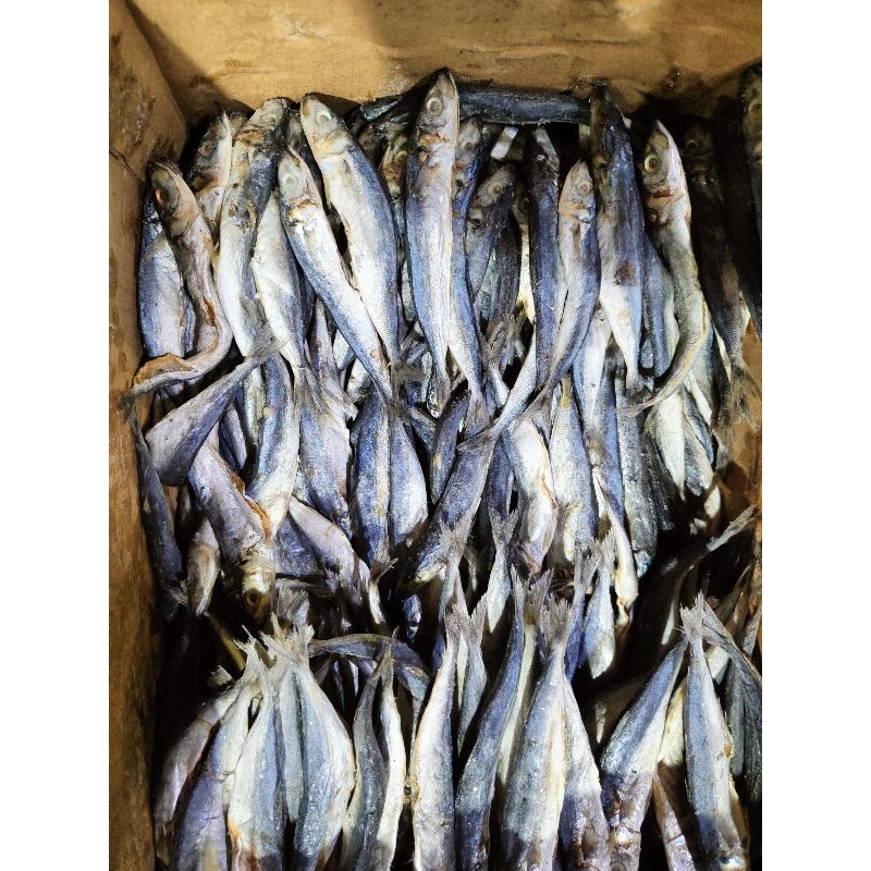 

Klotok Rembang 1000gr