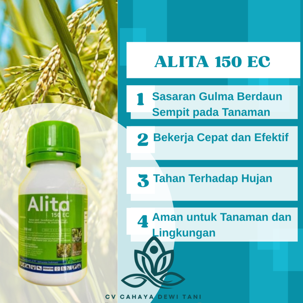 Herbisida ALITA 250 ML Racun Rumput Bekerja Sistemik Selektif Pada Tanaman Kacang Kedelai
