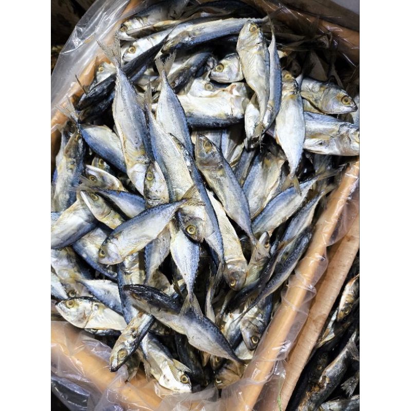 

BEBY PEDA 500GRAM RASA ENAK DAN GURIH