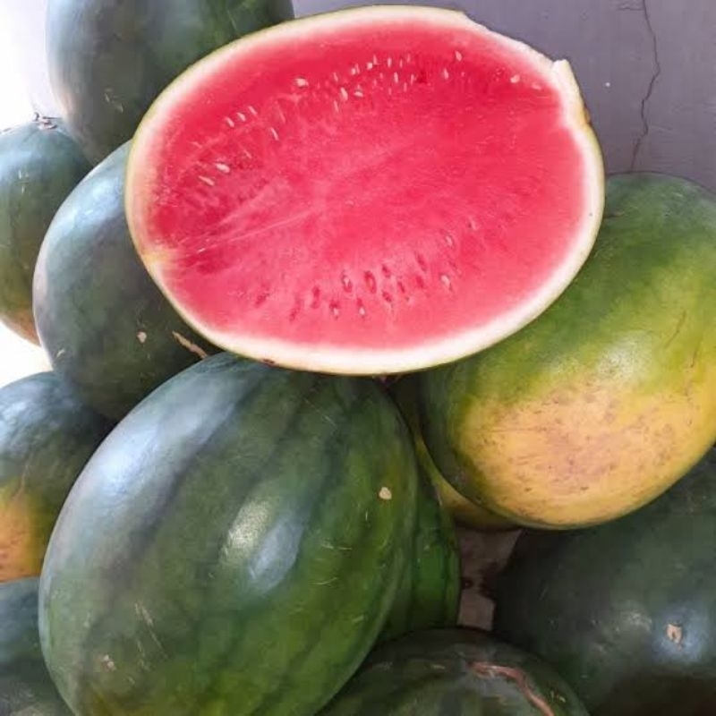 Semangka Merah Non Biji 1 Buah
