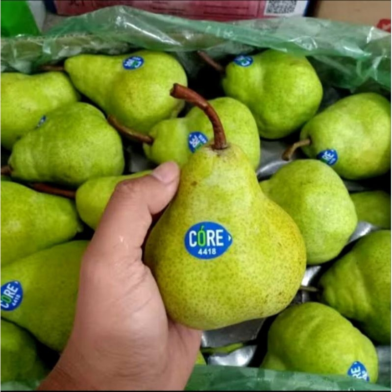 

Buah Pear Packam Core Manis 1Kg