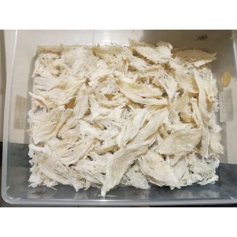 

walet patahan kecil ori