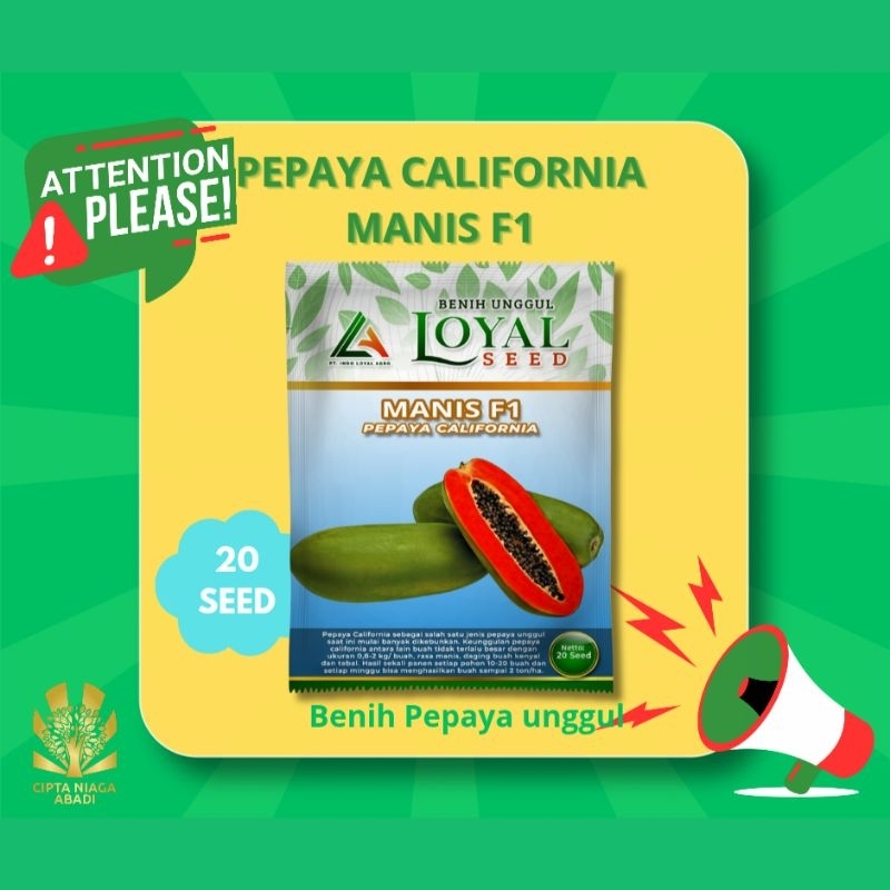 Benih Pepaya California MANIS F1 20 seed