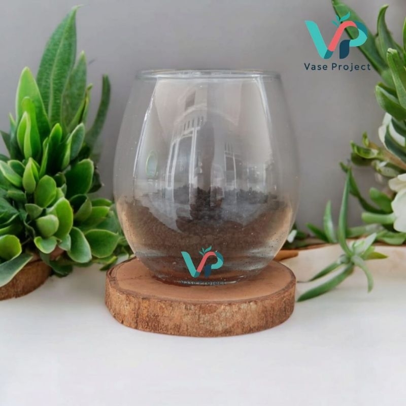 Paket Vas Bunga Kaca Bulat Dan Tatakan Kayu Rustic | Terarium Kaca | Vas Kaca Estetik | Vasquarium |