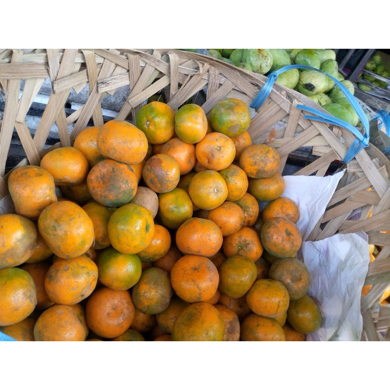 

[ FRESH ] Jeruk Lokal Besar Manis Murah