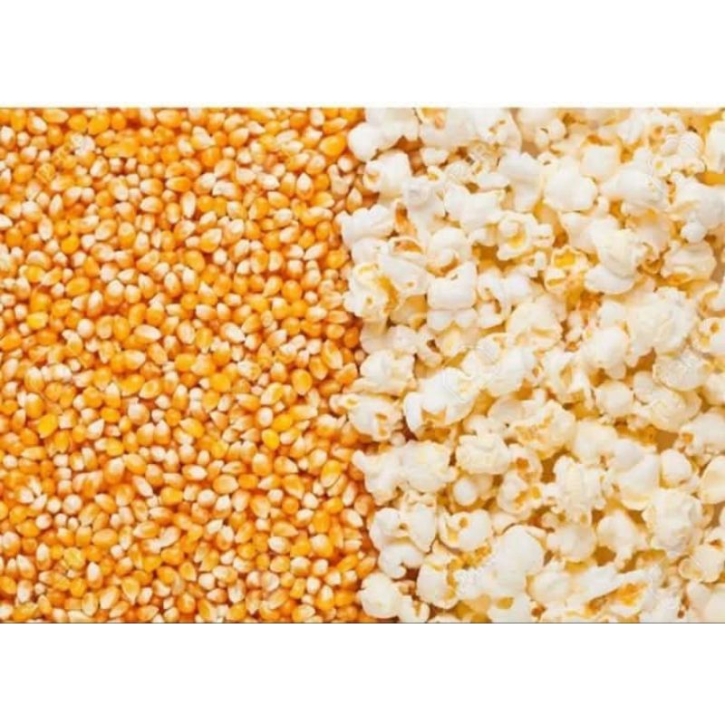 

Jagung Popcorn kemasan 1Kg