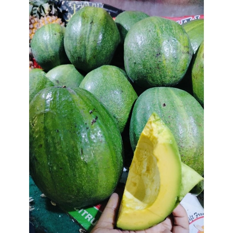 

Alpukat mentega super punel