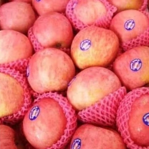 

Apel Fuji 1kg