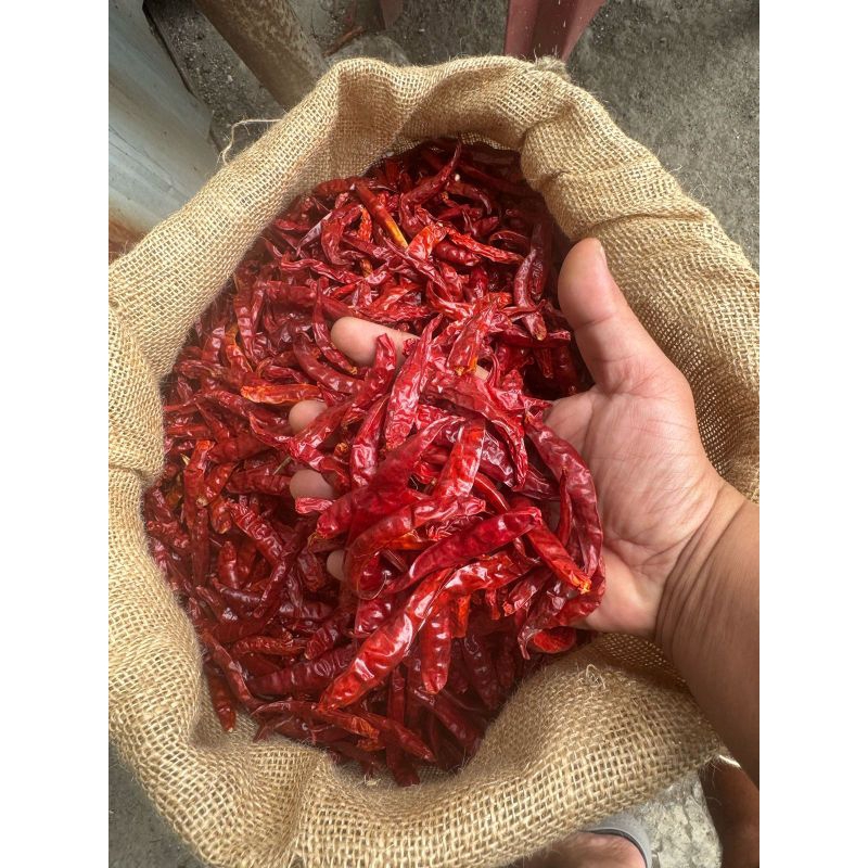 

Cabe Rawit/Cengek Kering Teja Extra Pedas dijamin Fresh bersih tanpa tangkai (1Kg)